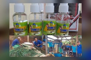 Farmers reap benefits of citronella facility in Bukidnon