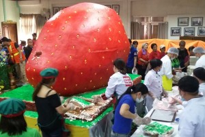 Strawberry Fest in Benguet town to feature giant twin cakes