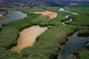 35% of world's wetlands disappeared in last 50 years