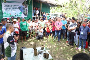 10K trees planted to mitigate flooding in Oriental Mindoro