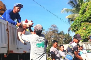 84 people in Abra receive 152 piglets as livelihood aid