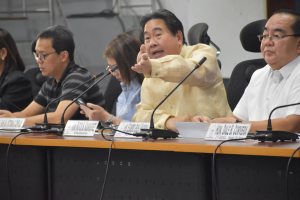 Committee to focus on economic, investment amendments: CDO solon