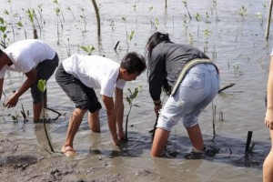 33 Negros couples plant mangroves ahead of Feb. 14 mass wedding