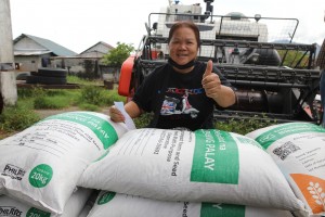 Bulacan to get 76K bags of certified inbred rice seeds from DA