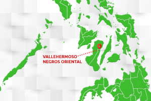 Gastro cases in Negros remain high; another death recorded