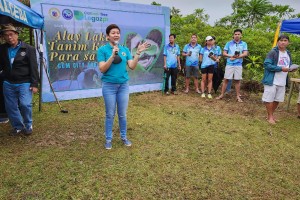 Legazpi residents plant 3.5K trees to celebrate Valentine