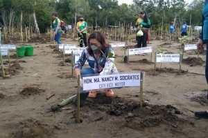 7K mangroves planted on V-Day in Puerto Princesa City