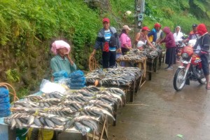 State of calamity declared in S. Cotabato town due to fish kill