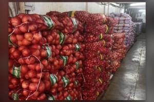 DA officials, coop execs face raps over onion 'price manipulation'