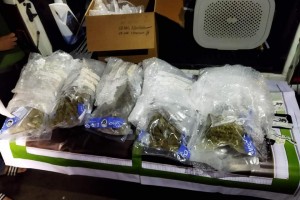 Over P3.7M high-grade marijuana from Canada seized in Subic