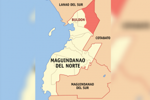 29 BIFF militants yield in Maguindanao Norte