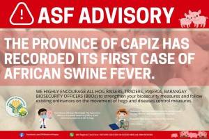 DA boosts public awareness as ASF spreads to Capiz