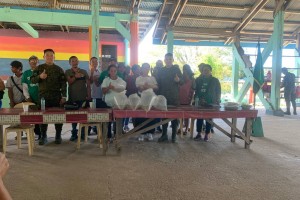 Army gives livelihood aid to 2 people’s organizations in Aurora