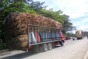 SRA gathers data to determine refined sugar import volume