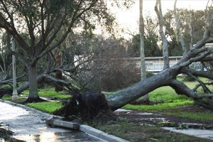  Twin cyclones may hit New Zealand next week