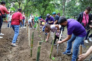 'Hapag Kay PBBM' agri program pilot tested in 4 W. Visayas LGUs