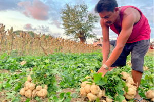 Agri-trading center to rise in Batac City