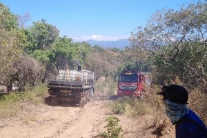 Public urged to help fight vs. grass fires in Ilocos Norte