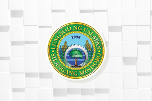 Mindoro town creates task force to pursue oil spill raps