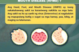 DA: HFMD outbreak in E. Samar not related to animal disease