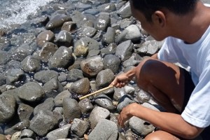 Oil spill threatens Mindoro fish sanctuary