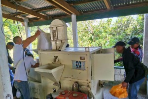 DOST boosts production, consumption of brown rice in Aurora