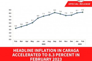 Caraga posts 8.3% inflation rate in February