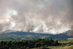 Wildfire in eastern Spain hits 4K hectares