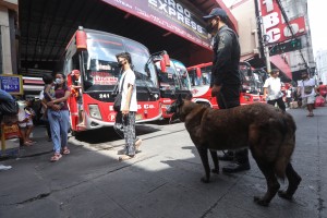 LTFRB to increase number of passenger buses during holidays