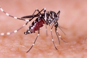 Malaria cases surge by 90% in 2023 – DOH