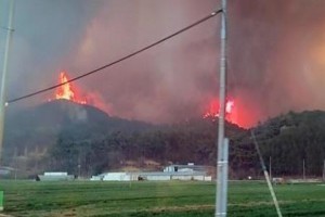 Wildfires force evacuations in SoKor, leaving 1 dead, many hurt