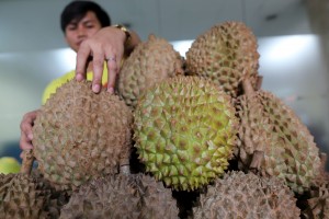 Davao durian growers eye farm expansion