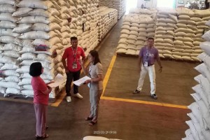 NFA Ilocos Norte starts buying palay at P19/kg