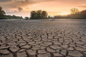 Negative trend in climate change to continue till 2060s: WMO