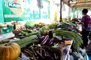 Further downtrend in Mimaropa inflation seen: NEDA official