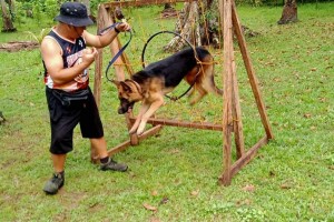 11 detection dogs await ‘deployment’ after 6-month training