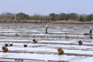 Huge boost to production expected under Salt Industry Development law