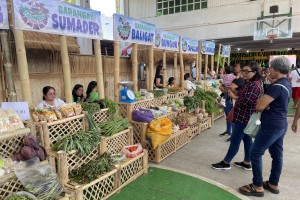 Batac marks Labor Day with farmers’ festival