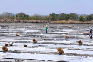 Measure to help salt farmers get easy access to financial aid – solon