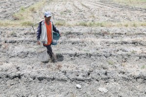 El Niño may last until 2nd quarter of 2024, says PAGASA-Mactan head