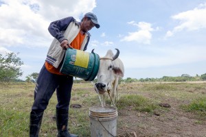 Gov't task force: El Niño to affect over 70 provinces in next 3 months