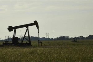 Oil up on subdued recession fears from positive US data