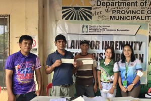 227 NoCot corn farmers get P708-K indemnity checks from PCIC