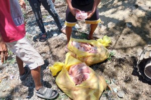 NMIS: 891 kg of ‘hot meat’ in Ilocos seized in 5 mos.