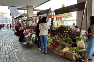 Gov't agencies, mall chain link Pangasinan farmers to customers