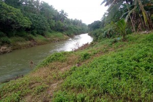 11 firearms seized in fresh Northern Samar clash