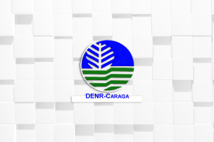 Greening program brings 6% more forest cover to Caraga: DENR-13