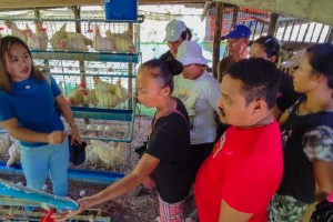 P2.9-M egg production grants up for 5 groups in Surigao Norte