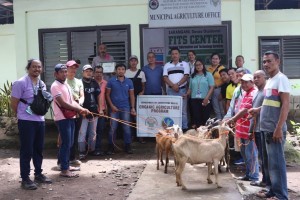 Farthest town in Region 11 to venture in organic goat production