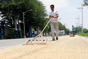 El Niño unlikely to have significant impact on food production